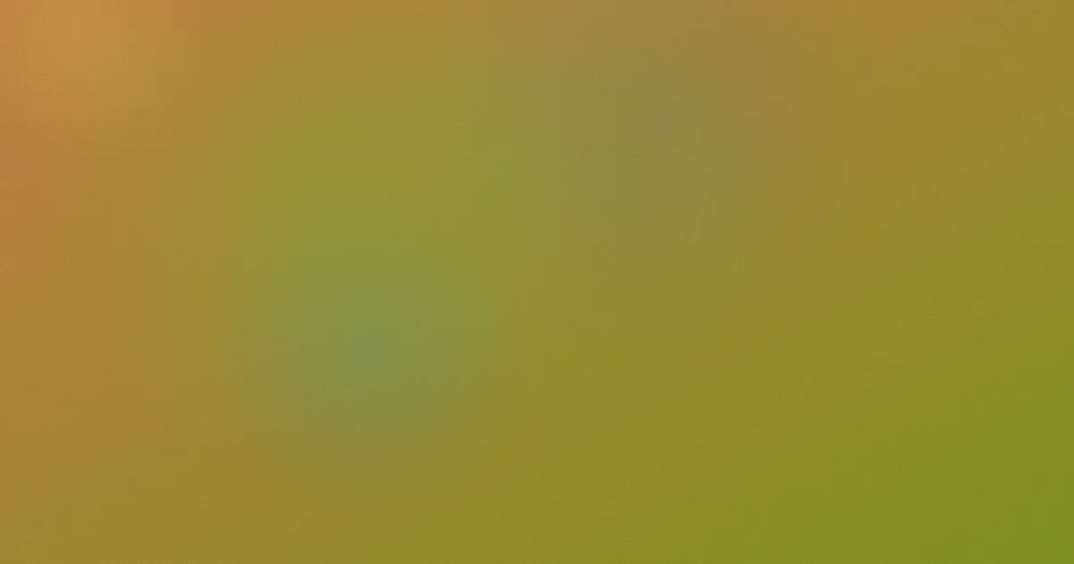 91伦理电影推荐：新手入门片单
